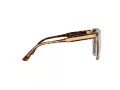 Michael Kors San Marino MK 2163 3102/7P 52 Occhiali da Sole