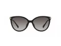 Michael Kors Dupont MK 2184U 30058G 58 Occhiali da Sole