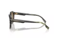 Michael Kors Eger MK 2216U 39787I 52 Occhiali da Sole