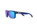 Oakley Holbrook Xs OJ 9007 19 53 Occhiali da Sole