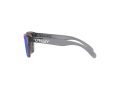 Oakley Frogskins Xxs OJ 9009 02 48 Occhiali da Sole