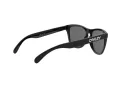 Oakley Frogskins OO 9013 24-306 55 Occhiali da Sole
