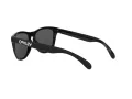 Oakley Frogskins OO 9013 C4 55 Occhiali da Sole