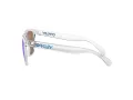 Oakley Frogskins OO 9013 D0 55 Occhiali da Sole