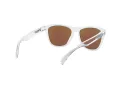 Oakley Frogskins OO 9013 D0 55 Occhiali da Sole