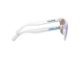 Oakley Frogskins OO 9013 D0 55 Occhiali da Sole