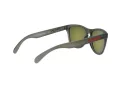Oakley Frogskins OO 9013 F8 55 Occhiali da Sole