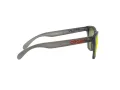 Oakley Frogskins OO 9013 F8 55 Occhiali da Sole