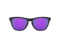 Oakley Frogskins OO 9013 H6 55 Occhiali da Sole