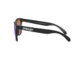 Oakley Frogskins OO 9013 H6 55 Occhiali da Sole