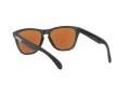 Oakley Frogskins OO 9013 H6 55 Occhiali da Sole