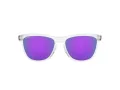 Oakley Frogskins OO 9013 H7 55 Occhiali da Sole