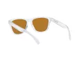 Oakley Frogskins OO 9013 H7 55 Occhiali da Sole