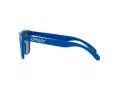 Oakley Frogskins OO 9013 J4 55 Occhiali da Sole