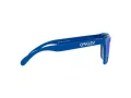 Oakley Frogskins OO 9013 J4 55 Occhiali da Sole