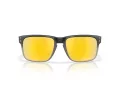 Oakley Holbrook OO 9102 AH 55 Occhiali da Sole