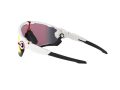 Oakley Jawbreaker OO 9290 05 131 Occhiali da Sole