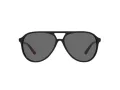 Polo PH 4173 5001/87 59 Occhiali da Sole
