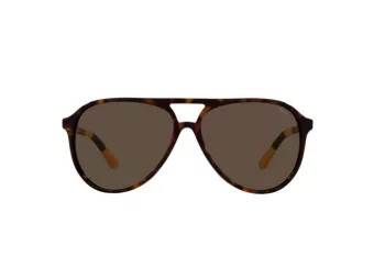 Polo PH 4173 5003/73 59 Occhiali da Sole