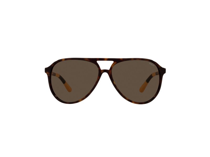 Polo PH 4173 5003/73 59 Occhiali da Sole