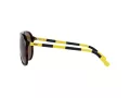 Polo PH 4173 5003/73 59 Occhiali da Sole