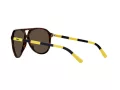 Polo PH 4173 5003/73 59 Occhiali da Sole