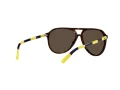 Polo PH 4173 5003/73 59 Occhiali da Sole