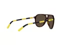 Polo PH 4173 5003/73 59 Occhiali da Sole