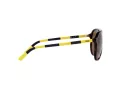 Polo PH 4173 5003/73 59 Occhiali da Sole