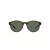 Polo PH 4176 5003/71 51 Occhiali da Sole