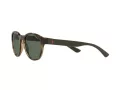 Polo PH 4176 5003/71 51 Occhiali da Sole