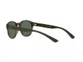 Polo PH 4176 5003/71 51 Occhiali da Sole