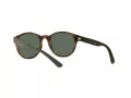 Polo PH 4176 5003/71 51 Occhiali da Sole