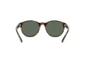 Polo PH 4176 5003/71 51 Occhiali da Sole