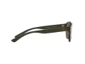 Polo PH 4176 5003/71 51 Occhiali da Sole
