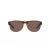 Polo PH 4180U 5003/73 56 Occhiali da Sole