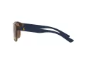 Polo PH 4180U 5003/73 56 Occhiali da Sole