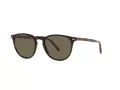 Polo PH 4181 5260/3 51 Occhiali da Sole