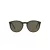 Polo PH 4183U 5057/3 50 Occhiali da Sole