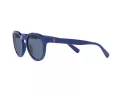 Polo PH 4184 5235/80 49 Occhiali da Sole
