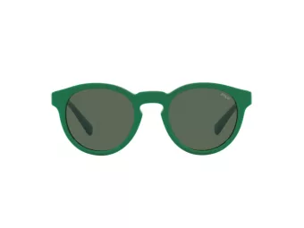 Polo PH 4184 6017/71 49 Occhiali da Sole