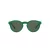 Polo PH 4184 6017/71 49 Occhiali da Sole