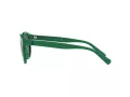 Polo PH 4184 6017/71 49 Occhiali da Sole