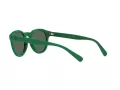 Polo PH 4184 6017/71 49 Occhiali da Sole