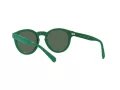 Polo PH 4184 6017/71 49 Occhiali da Sole