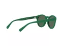 Polo PH 4184 6017/71 49 Occhiali da Sole