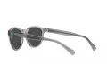 Polo PH 4192 541387 51 Occhiali da Sole