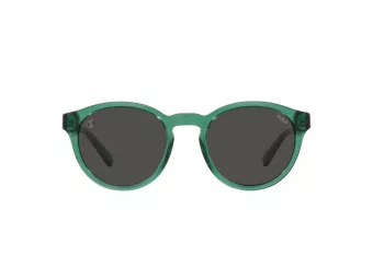 Polo PH 4192 608487 51 Occhiali da Sole