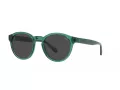 Polo PH 4192 608487 51 Occhiali da Sole