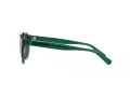 Polo PH 4192 608487 51 Occhiali da Sole